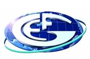 European Federation of Geologists (EFG) logo